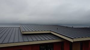 Best Green or Eco-Friendly Roofing Solutions  in Dunthpe, OR